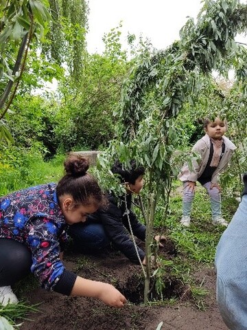 Kinderen leggen de wilgentunnel aan.